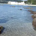 天神島臨海自然教育園の写真_46134