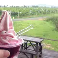 久住ワイナリーの写真_46307