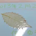 かわさき宙と緑の科学館の写真_4638