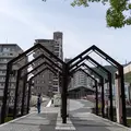 新町川水際公園の写真_465413