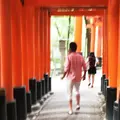 伏見稲荷大社の写真_46556