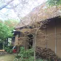 KINONの写真_46691