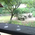 KINONの写真_46693