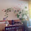 仁庵（JIN-AN）の写真_46697