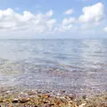 男鹿半島の写真_46763