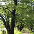 角館の写真_46773