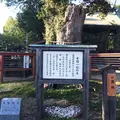 水田天満宮（恋木神社）の写真_46804