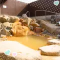 川の駅船小屋 恋ぼたるの写真_46819
