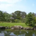 藤田邸跡公園（旧藤田邸庭園）の写真_468282