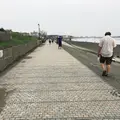 県立湘南海岸公園西部駐車場の写真_46965