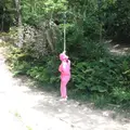 忍術村の写真_47086