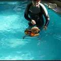 ＤｏｇＰｅｔｉｔＲｅｓｏｒｔＪＯＫＥＲ綱吉の湯の写真_47278