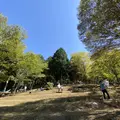 太郎川公園の写真_474129
