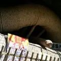 琉球村の写真_474453