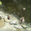 ウォーキングアベニューの写真_475673
