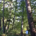 星野リゾート リゾナーレ 八ヶ岳の写真_47772