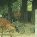 姫路セントラルパークの写真_478315