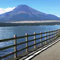山中湖一周遊覧『白鳥の湖』の写真_48292
