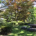 山中湖一周遊覧『白鳥の湖』の写真_48295