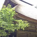 智満寺の写真_48835