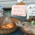 津名港ターミナルの写真_49162