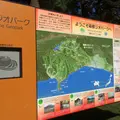 真鶴岬の写真_49208
