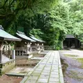 氣比神宮の写真_4927