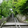 金崎宮の写真_4929