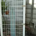 サカエ薬局(中内功実家)跡地の写真_493098