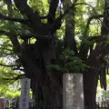 善福寺の写真_49350