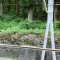 黒薙駅・黒部峡谷鉄道／本線の写真_4942