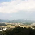 丹波並木道中央公園の写真_49426