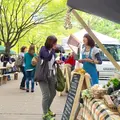 東遊園地の写真_49430
