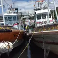 海の家カッパ天国の写真_49460