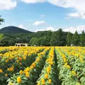世羅高原農場の写真_49471
