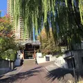 善福寺の写真_49487