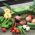 Neighbor Foodの写真_49497