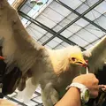 神戸どうぶつ王国の写真_49848