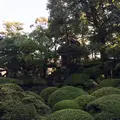 旧野﨑家住宅の写真_49967