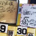 遊覧船はつひ丸の写真_49977