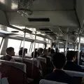 遊覧船はつひ丸の写真_49978
