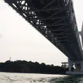 遊覧船はつひ丸の写真_49979