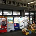 ふゅーちぁーの写真_49994