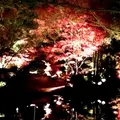 武庫川女子大学甲子園会館（旧甲子園ホテル）の写真_50148