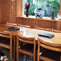 はまゆうの写真_50155