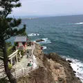 桂浜の写真_5020