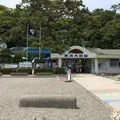 桂浜の写真_5021