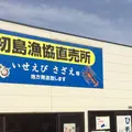 初島の写真_50313