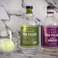 Four Pillars Gin Laboratoryの写真_505282
