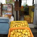 ひざつきフルーツプラザの写真_50624
